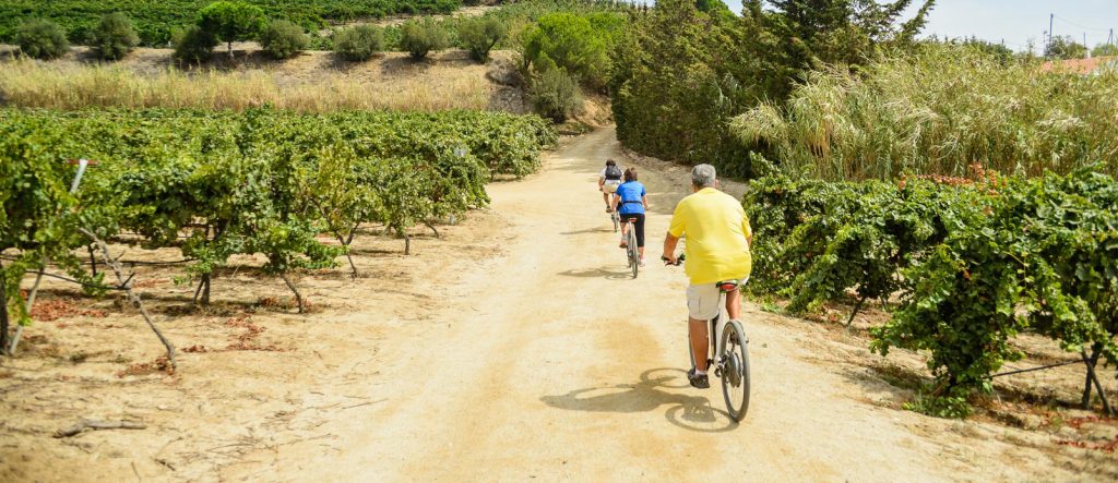 E-bike Tour