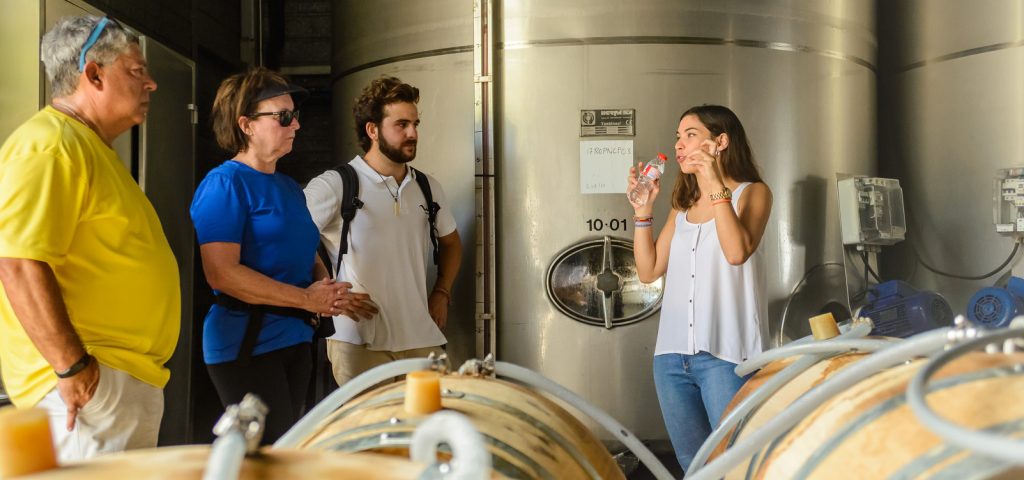 Alella Vineyards