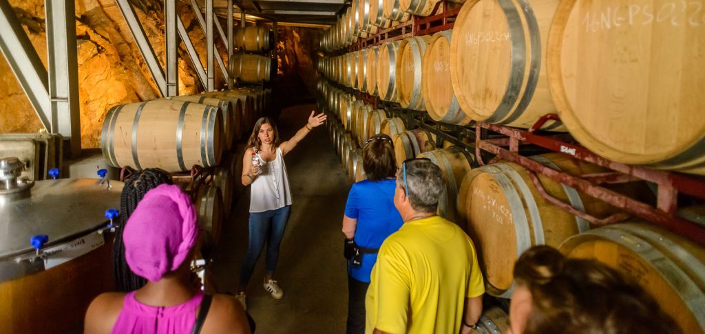 Winery Tour