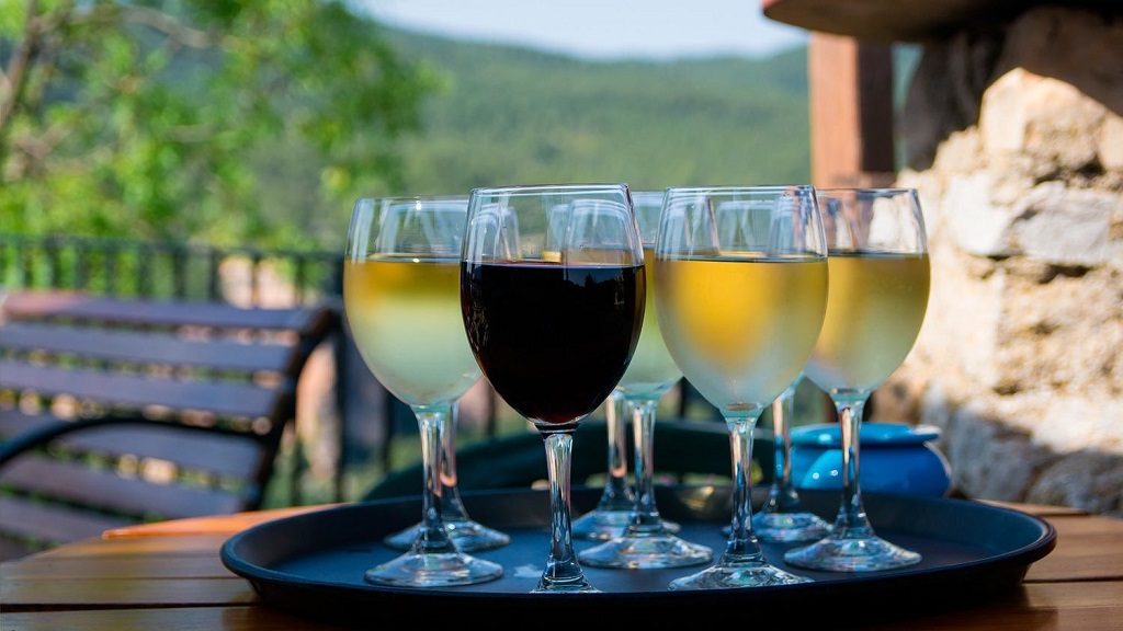 Wine Tasting 
