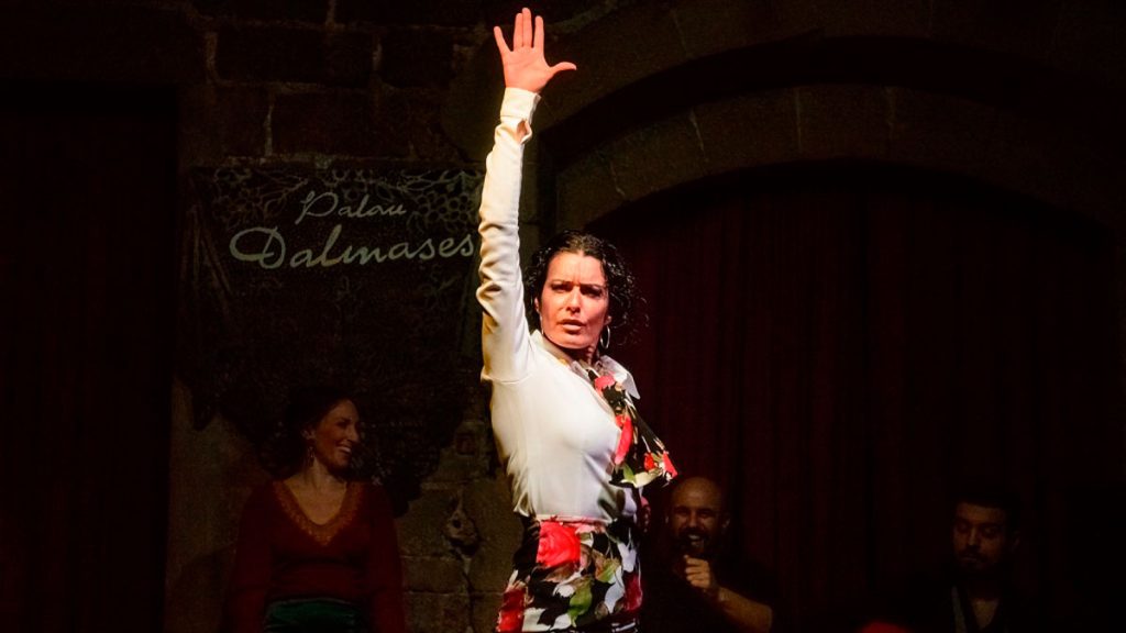 Flamenco Show 