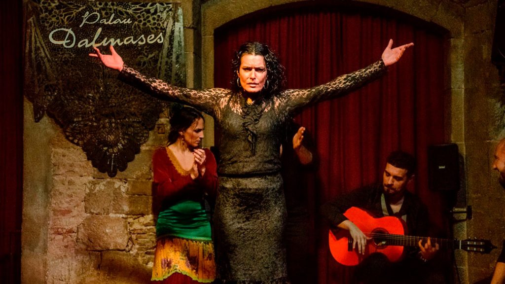 Flamenco Show