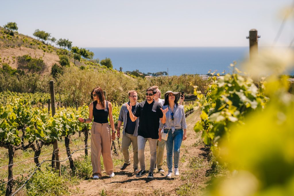 Alella Sailing & Winery