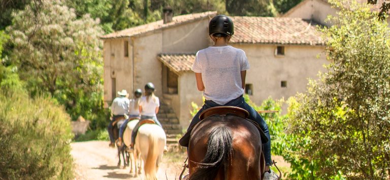 Horse Riding Experience 