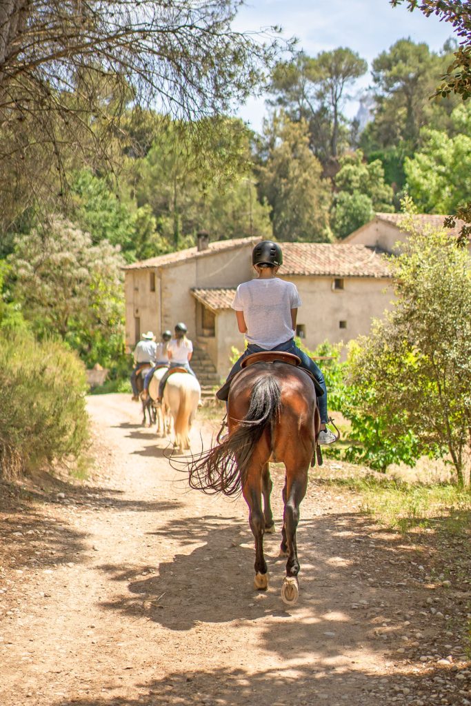 Horse Riding Experience