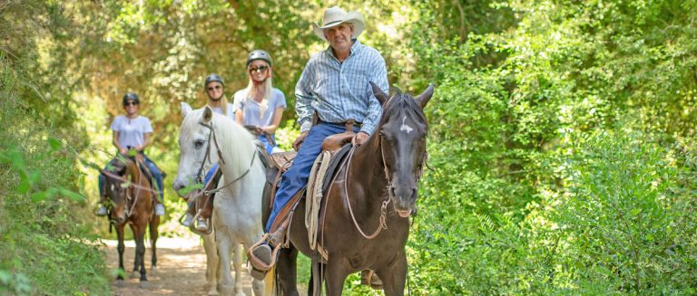 Horse Riding Experience 