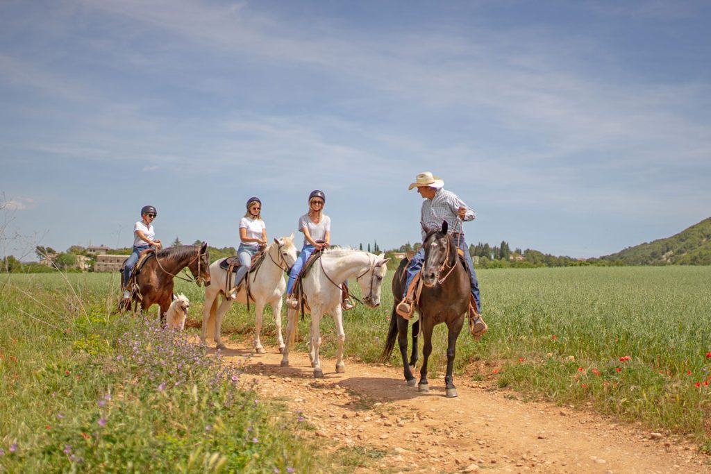 Horse Riding Experience