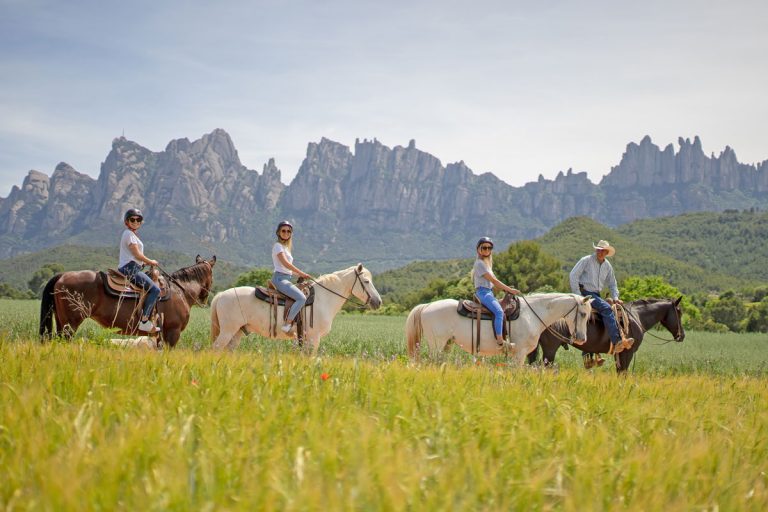 Horse Riding Experience 