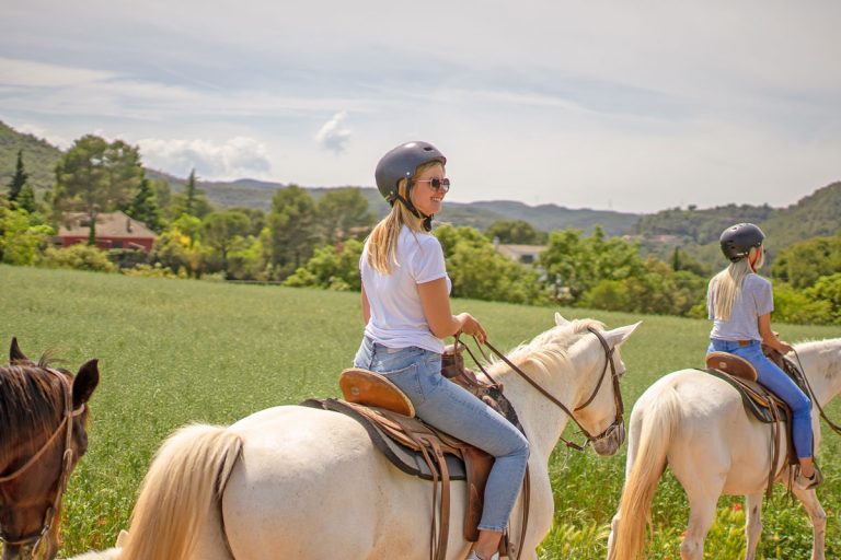 Horse Riding Experience 