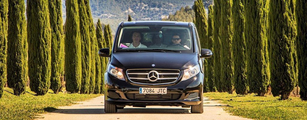Mini Van Transfer 