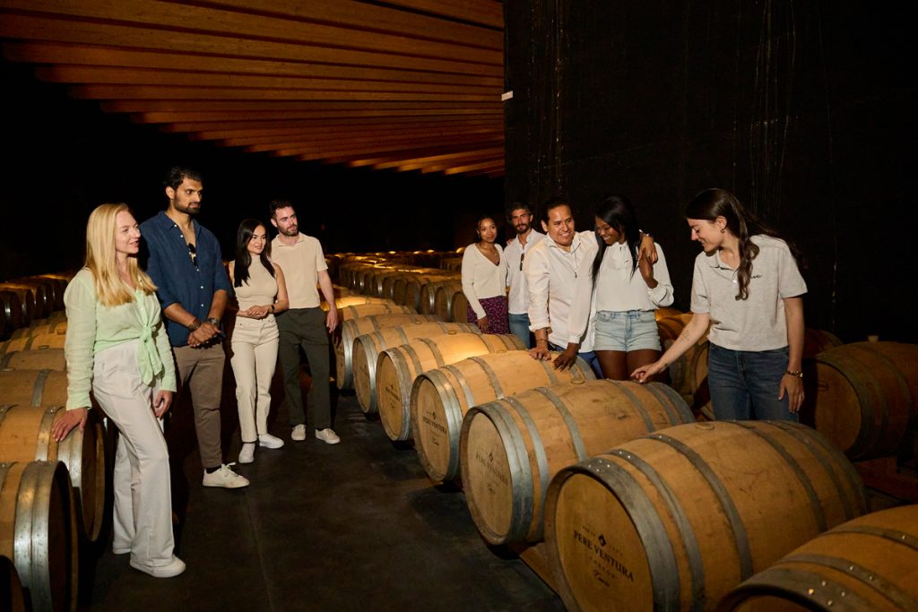 Exploring the winery 