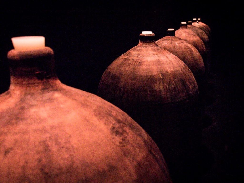 Exploring the winery 