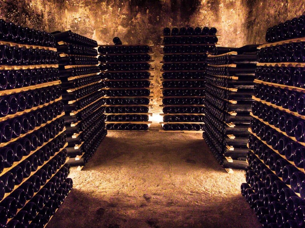 Exploring the winery 