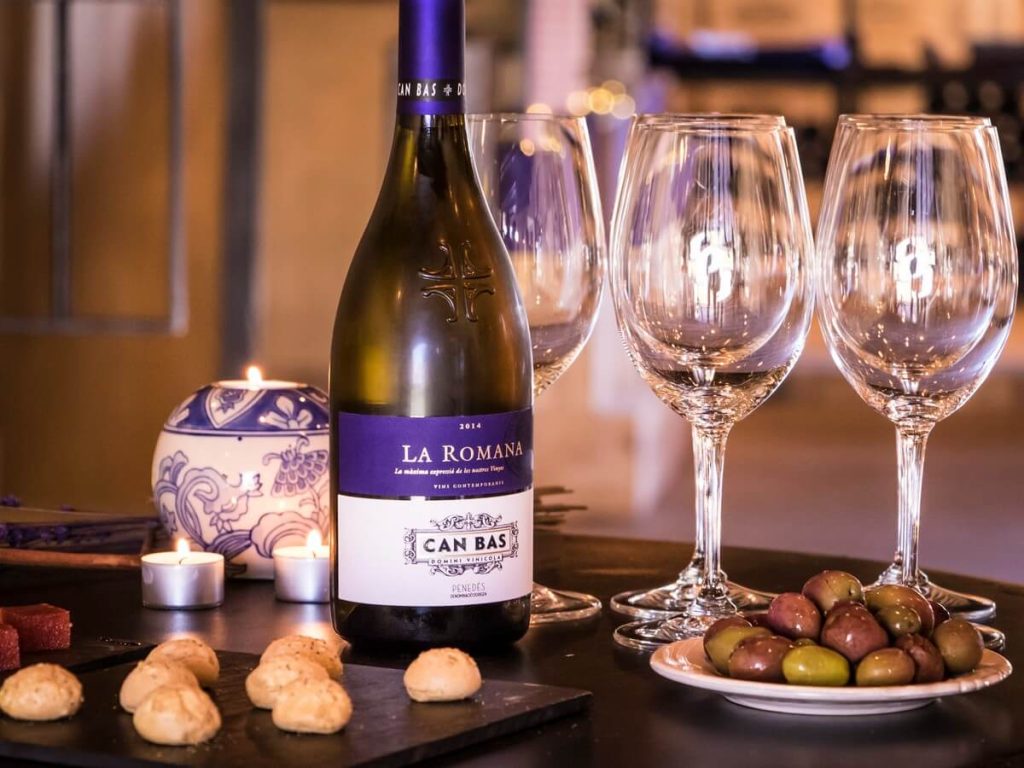 Cava and Wine tasting