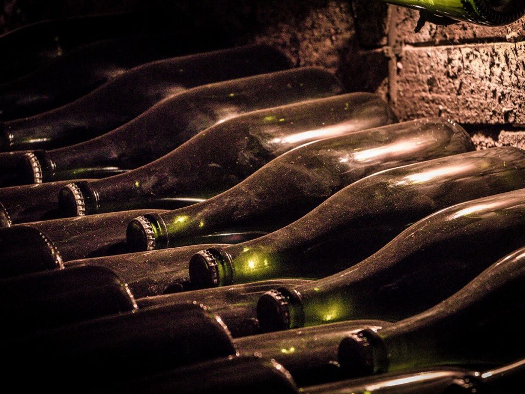 Cava and Wine tasting