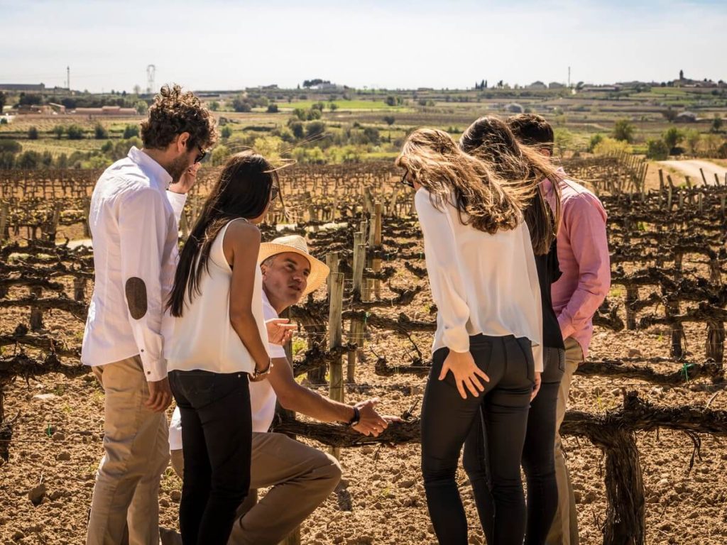 Exploring the vineyards