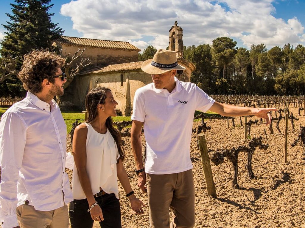 Exploring the vineyards