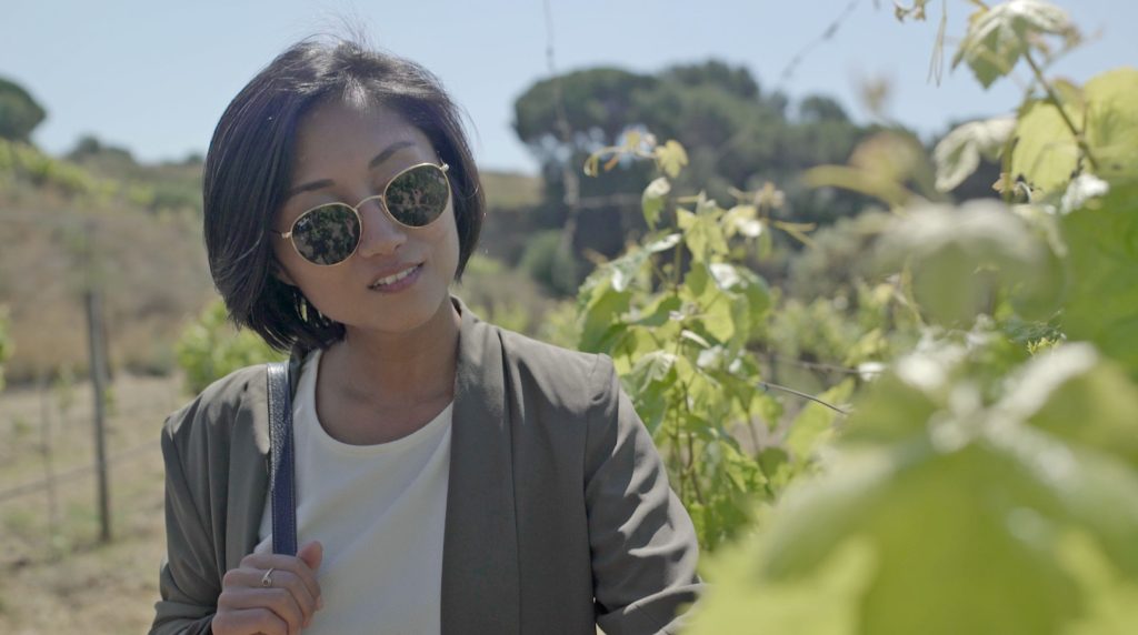 Alella's Vineyards