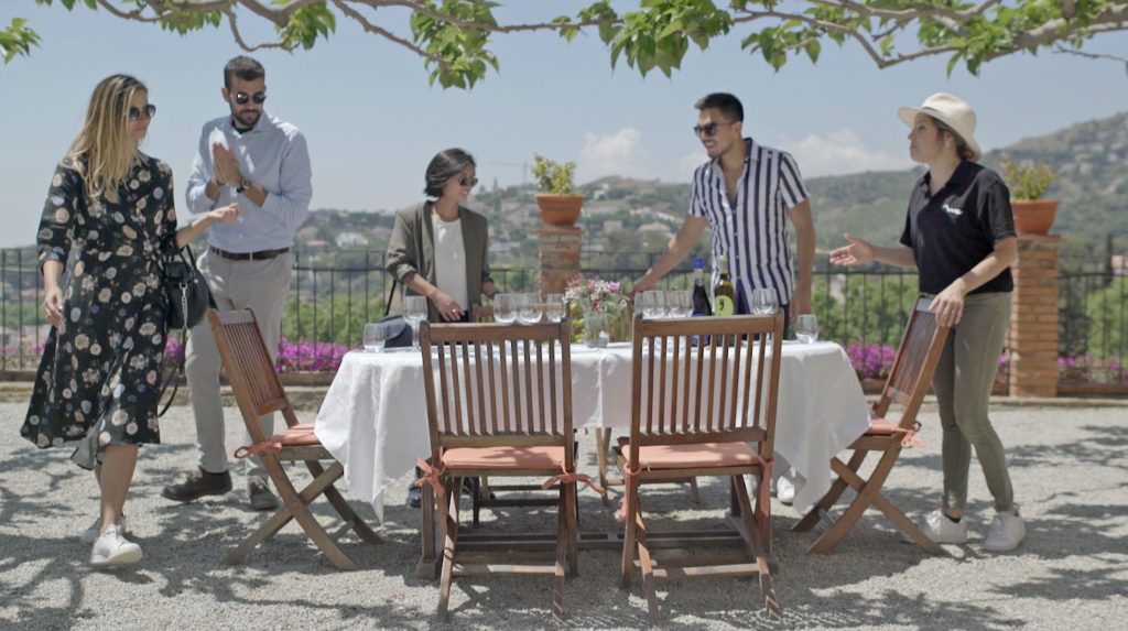 Alella's Vineyards