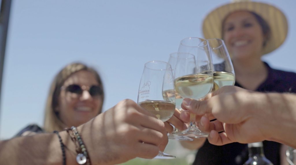 Alella's Vineyards