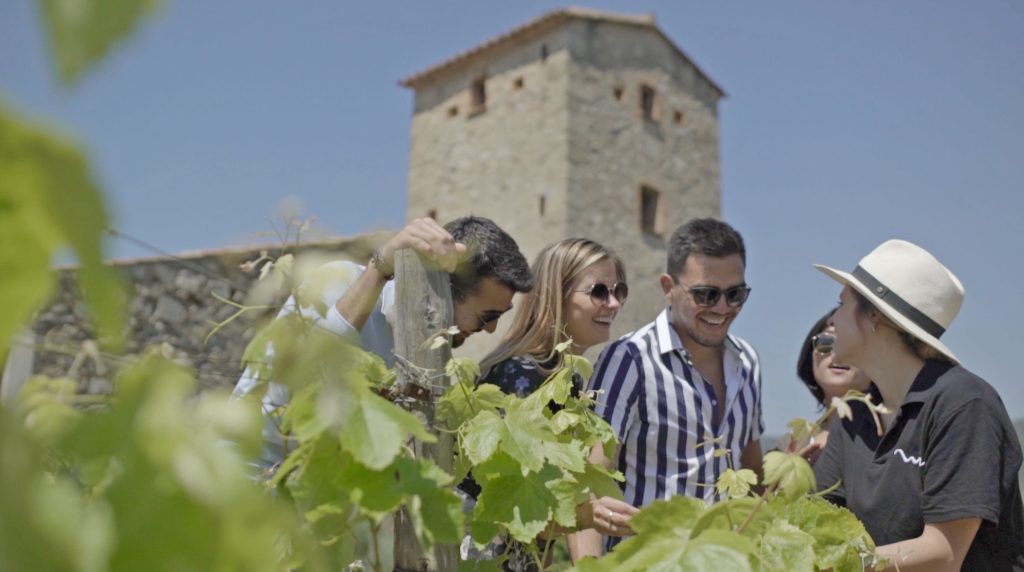 Alella's Vineyards
