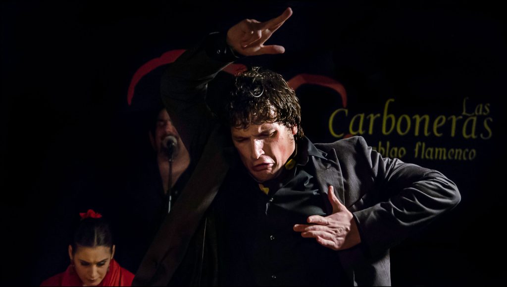 Flamenco Show 