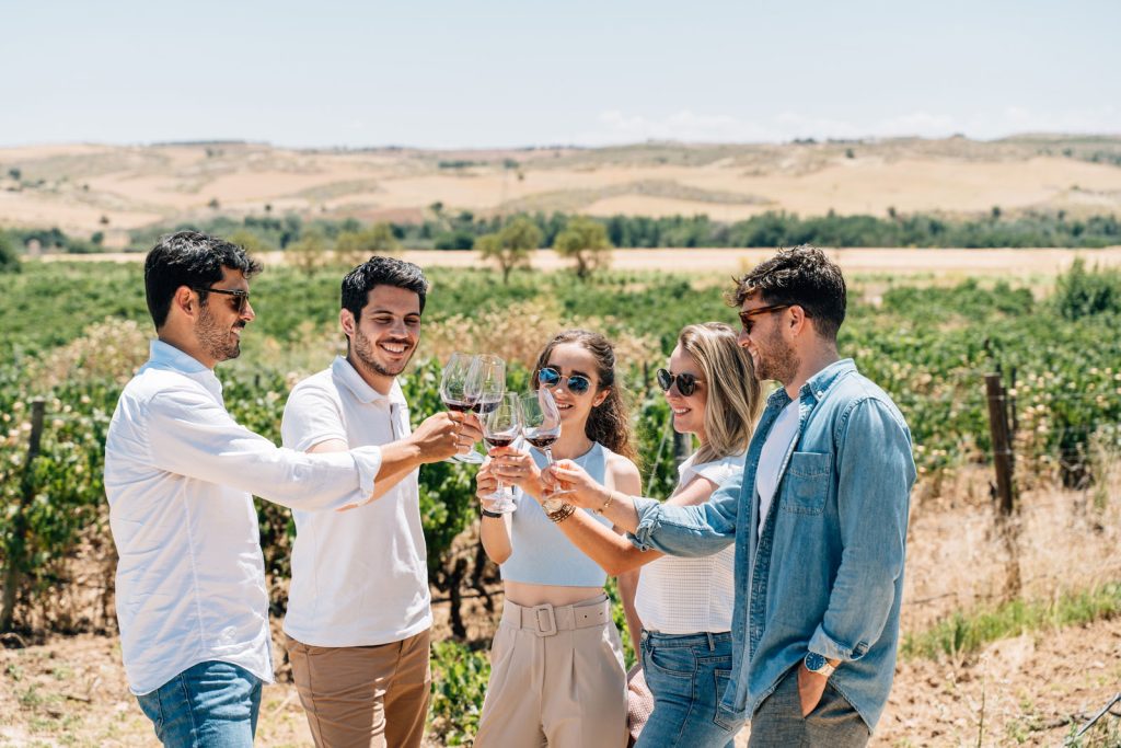 Toledos's Vineyards