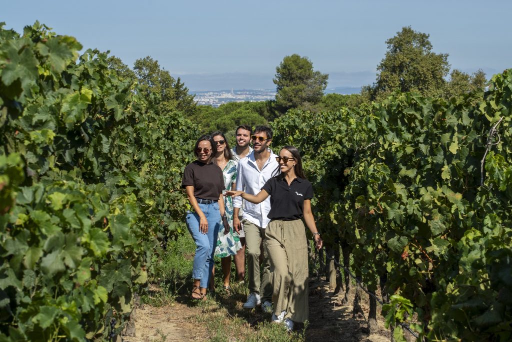 Lisbon Wine Experience