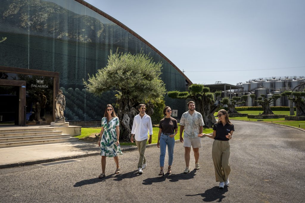 Lisbon Wine Experience