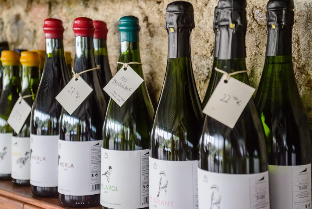 wine tasting