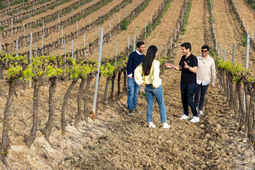 Winery Tour