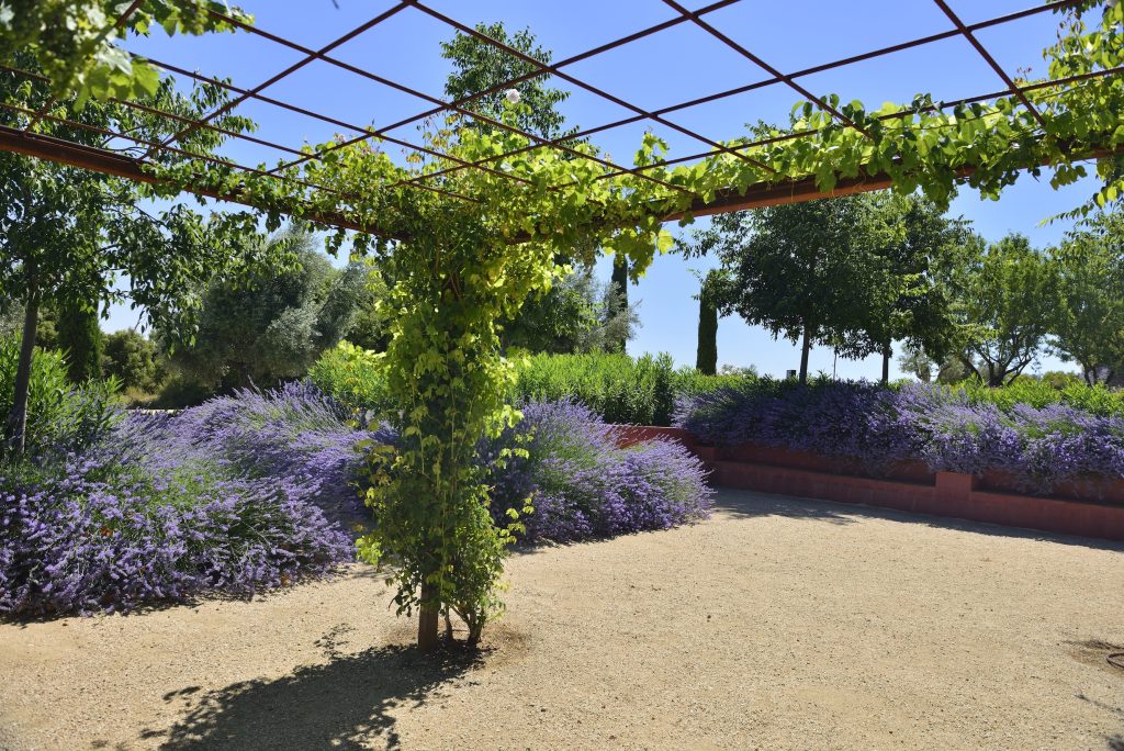 Madrid Wineries