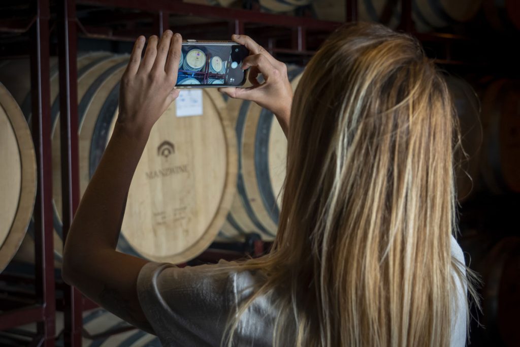 Winery visit