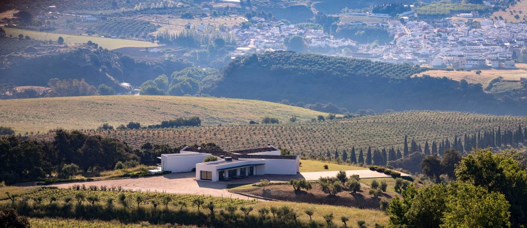 Ronda Winery & Oil