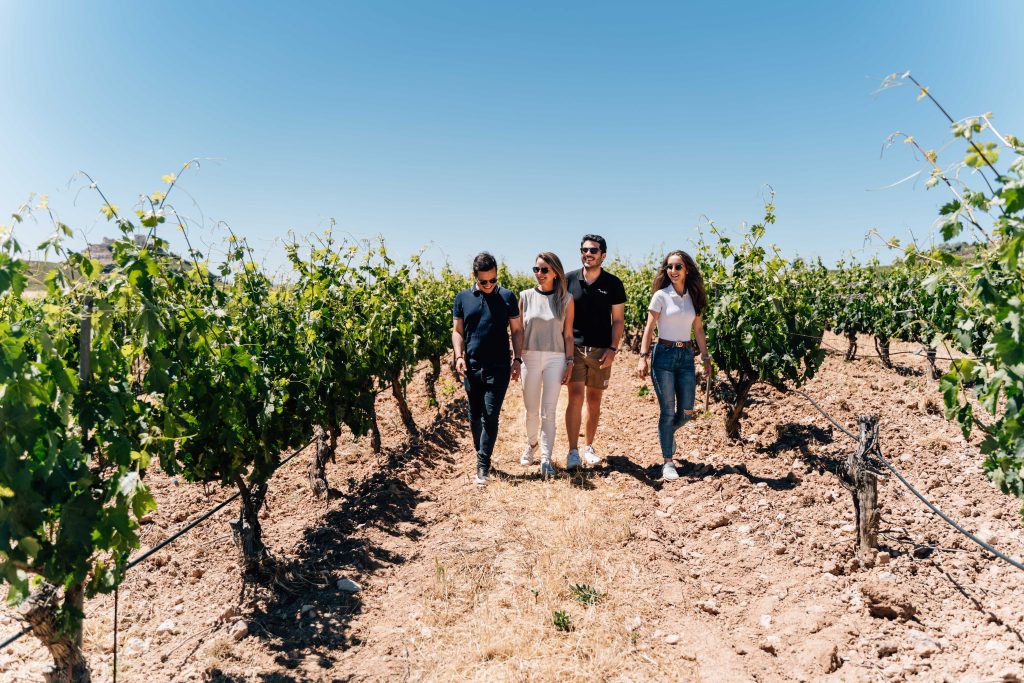 Ronda Winery & Oil